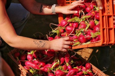 Brasil participa da abertura oficial do Fórum Global da Agricultura Familiar em Roma