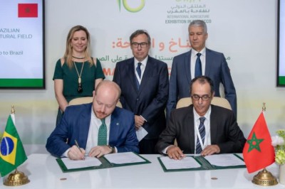 Governo de Marrocos concede isenção total de impostos para importação de carne bovina e ovina do Brasil