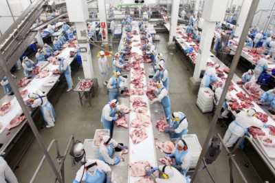 Mapa anuncia 19 novas habilitações de frigoríficos para exportação de carnes brasileiras para África do Sul