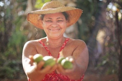 Governo abre sistema do PAA para compras da agricultura familiar