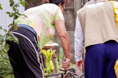 Brasil registra queda de quase 70% nos casos de dengue nos dois primeiros meses de 2025