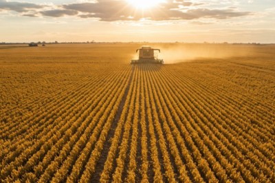 IBGE: estimativa prevê safra de 2025 10% maior que a de 2024, puxada por algodão e soja