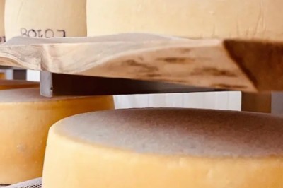 Mapa fortalece setor de queijos artesanais em Santa Catarina para destaque nacional