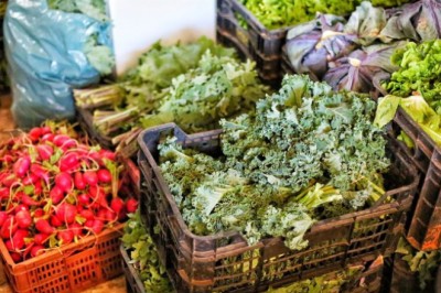 PAA adquire e distribui mais de 2,15 mil toneladas de alimentos em março