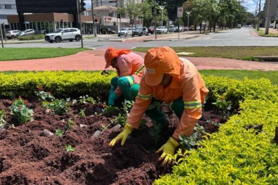 Comurg realiza ação de paisagismo urbano em praças e rotatórias de Goiânia