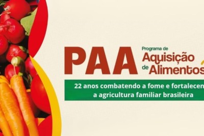Com 2,3 bilhões de quilos de alimentos distribuídos, PAA celebra 22 anos de combate à fome