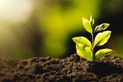 CMN publica resolução que cria linha de crédito para liquidar ou amortizar dívidas rurais