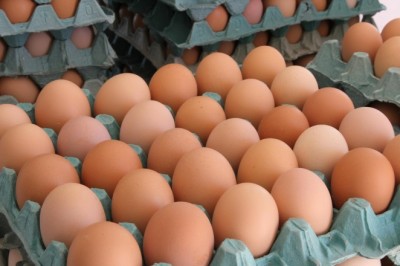 Goiás registra crescimento de 65,7% na produção de ovos