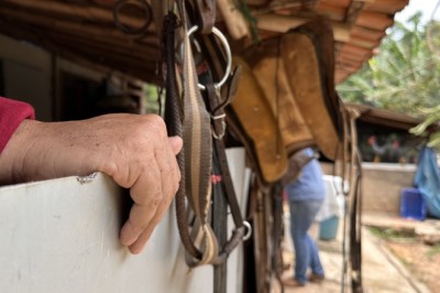 Atuação da DPE-GO como fiscal dos vulneráveis é reconhecida e põe fim a processo de mais de 30 anos