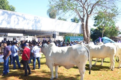 Agrodefesa abre prazo para cadastro de eventos agropecuários previstos para 2026 em Goiás
