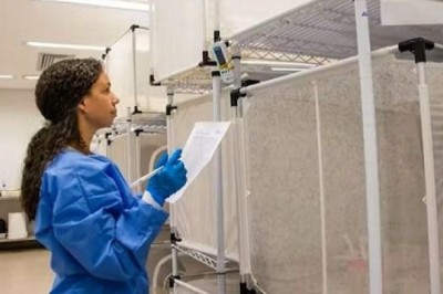 Saúde de Aparecida debate implementação de método inovador para controle do Aedes aegypti