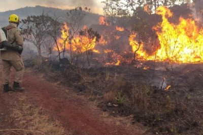 MPGO lança projeto institucional para enfrentar a crise climática causada por incêndios no Cerrado goiano