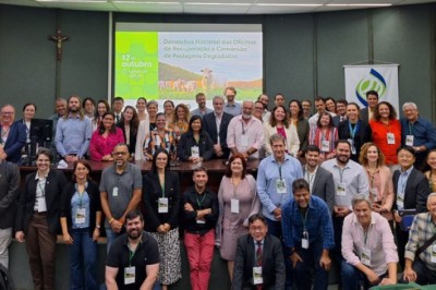 Mapa reúne gestores públicos e parceiros para apresentar os resultados das oficinas estaduais do PNCPD