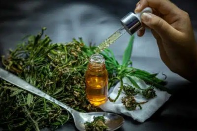 STJ concede salvo-conduto coletivo a pacientes de associação para cultivo de maconha