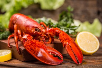 Abertura de mercado em Singapura para exportação de lagostas vivas do Brasil