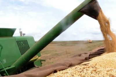 Conab projeta safra de grãos 2024/25 de 322,53 milhões de toneladas