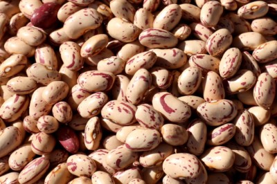 Abertura de mercado agropecuário para o Brasil na Costa Rica