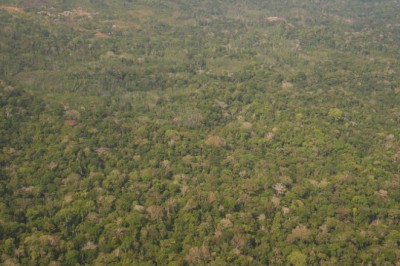 Governo Federal não está transferindo gestão de terras indígenas para iniciativa privada