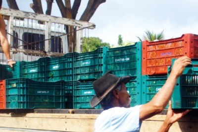 PAA: Inscrição de projetos da agricultura familiar vai até 31 de março