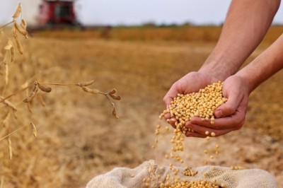 Produção de grãos é estimada em 330,3 milhões de toneladas na safra 2024/25