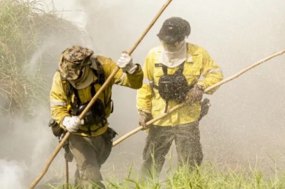 Governo autoriza contratação de brigadas federais pelo Prevfogo para atuar em dezenas de municípios