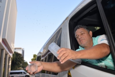 Governo de Goiás acompanha estratégia que solta mosquitos com bactéria para conter a dengue