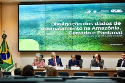 Cerrado registra maior queda de desmatamento dos últimos anos, com recuo de 20,8%