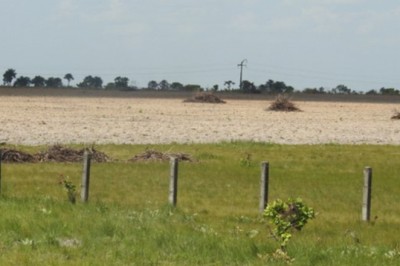 Governo do Brasil lança sistema para monitoramento diário da Amazônia