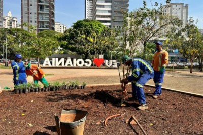 Comurg revitaliza quatro praças de Goiânia com paisagismo e melhorias estruturais
