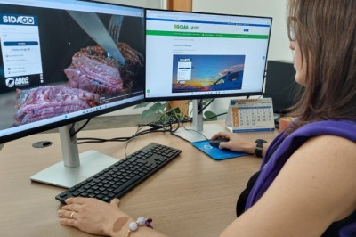 Agrodefesa abre segunda etapa da Declaração de Rebanho a partir de sábado (1º/11) em Goiás