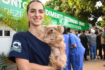 UPAVet registra mais de mil atendimentos de emergência em 2025, com cirurgias e suporte clínico