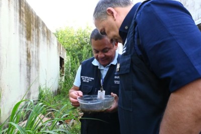Prefeitura de Goiânia destaca 750 agentes para combate ao Aedes aegypti