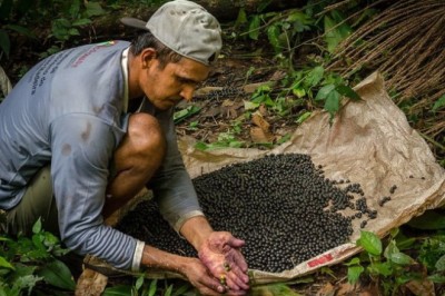 Abertas as inscrições de projetos para regularizar áreas e apoiar produção de 30 mil agricultores familiares na Amazônia