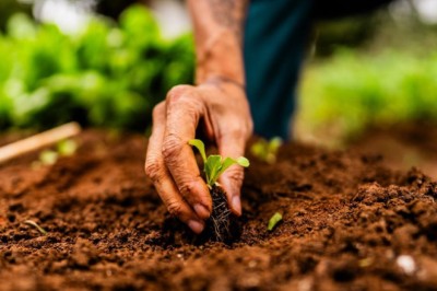 Brasília recebe a 39ª Conferência Regional da ONU para a Alimentação e a Agricultura