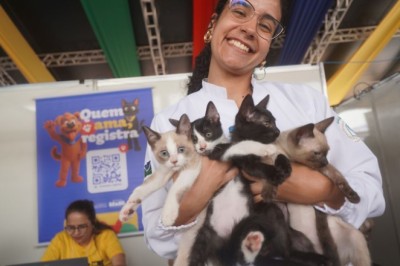 Governo do Brasil promove Semana Nacional dos Animais com foco no fortalecimento das políticas públicas de proteção animal