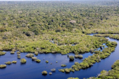 Governo do Brasil seleciona 11 projetos para restaurar quase 3 mil hectares na Amazônia Legal