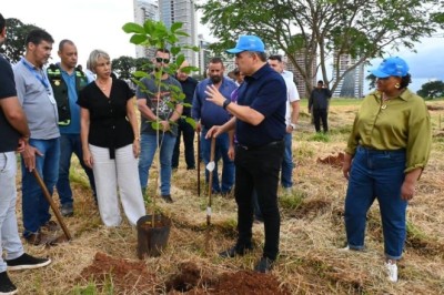 MotoGP Goiânia: prefeitura adota plantio de árvores para compensar emissões de carbono da competição