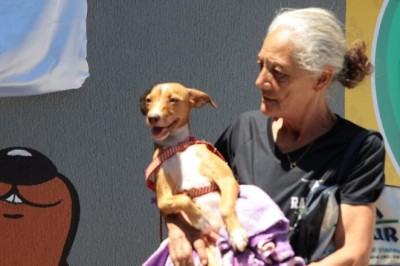 Vilela e Lana entregam Centro de Recuperação PATA e ampliam atendimento para cães e gatos de rua