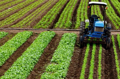 Com alta de 10%, crédito rural empresarial atinge R$ 404 bilhões no Plano Safra 2025/2026