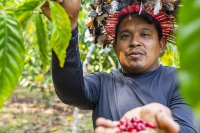 Governo do Brasil anuncia R$ 23 milhões para o PAA indígena