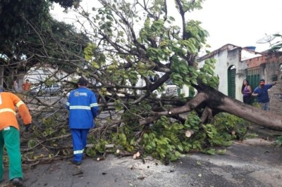 Comurg orienta população a usar aplicativo oficial para solicitação de serviços após chuvas