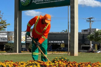Flores transformam paisagem urbana em sete pontos da capital