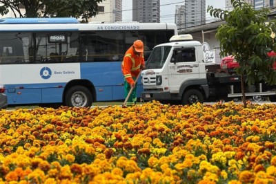 Comurg leva serviços de paisagismo a 15 espaços públicos da capital nesta terça-feira (26/5)