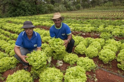 Com PAA, renda de agricultores familiares cresce até 30% e dependência do CadÚnico chega a cair 57%