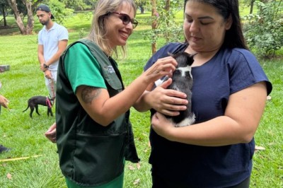 Prefeitura de Goiânia abre inscrições para Programa de Castração Gratuita com 1,5 mil vagas para cães e gatos