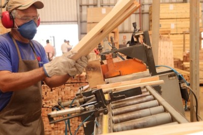 Goiás tem saldo de 3.780 empregos formais em junho