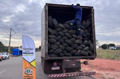 Prefeitura de Goiânia promove castração, recolhimento de pneus e doação de mudas no mutirão da Região Leste