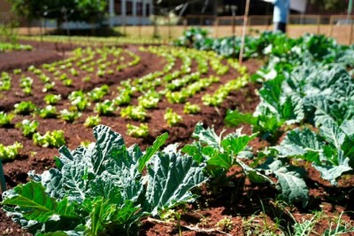 Programa da Prefeitura de Goiânia permite troca de materiais recicláveis por alimentos