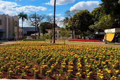 Comurg mapeia Goiânia para Projeto Florescer; veja quais pontos podem receber canteiros
