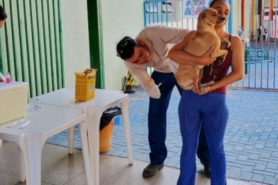 Prefeitura realiza campanha de vacinação antirrábica neste sábado (12/9) com mais de 160 pontos da capital